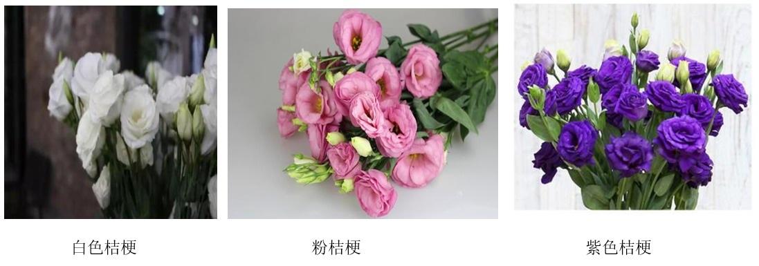 婚礼文化常识大全(我在婚礼庆典上讲什么词呢)