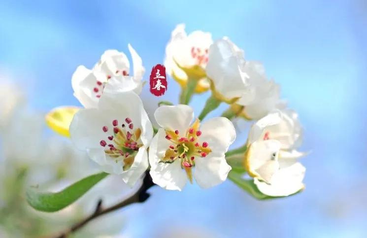 婚含义是什么,30在婚姻里面代表什么含义