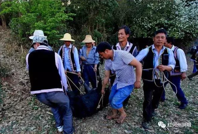 少数民族结婚风俗(哪些结婚的风俗习惯让人感到幸福感爆棚)
