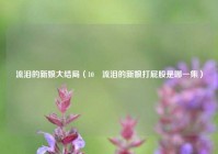 流泪的新娘大结局（10 流泪的新娘打屁股是哪一集）