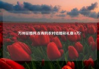 万州征婚网,在有的农村结婚彩礼要18万?