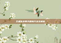 王者队友聊天复制方法全解析