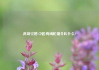 高端征婚,中国高端的婚介叫什么?