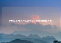 泸州交友网,为什么会有过于极端的爱狗人士?