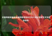 珍爱网相亲骗局,珍爱网我看到对方并不是会员却天天发信息给我?