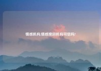 情感机构,情感挽回机构可信吗?
