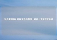 张杰谢娜婚礼嘉宾,张杰和谢娜上过什么大型综艺电视