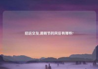 招远交友,清明节的风俗有哪些?