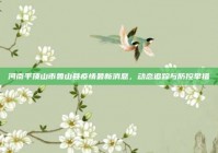 河南平顶山市鲁山县疫情最新消息，动态追踪与防控举措