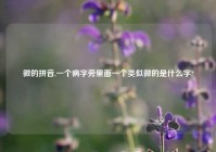 微的拼音,一个病字旁里面一个类似微的是什么字?