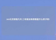2020元旦放假几天,三年前没有疫情是什么样子的?