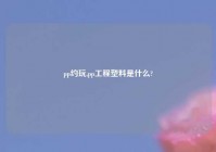 pp约玩,pp工程塑料是什么?