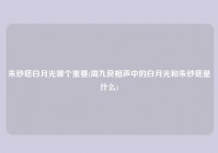 朱砂痣白月光哪个重要(周九良相声中的白月光和朱砂痣是什么)