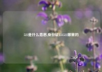 522是什么意思,身份证331522哪里的