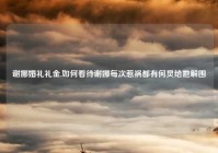 谢娜婚礼礼金,如何看待谢娜每次惹祸都有何炅给她解围