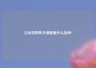 江永百姓网,天香稻是什么品种?