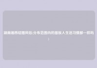 湖南湘西结婚风俗(分布范围内的苗族人生活习惯都一样吗)