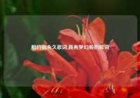 相约到永久歌词,具有梦幻般的歌词