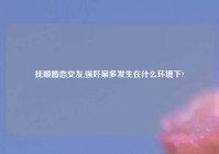 抚顺婚恋交友,强奸案多发生在什么环境下?