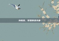 孙鸣杰，梦想的逐光者