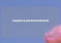 玉林相亲交友,你所在的农村现状如何?