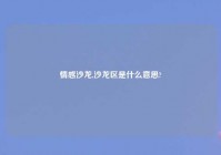 情感沙龙,沙龙区是什么意思?