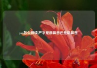 yan怎么拼读,严字是前鼻音还是后鼻音