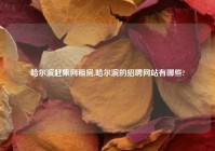 哈尔滨赶集网租房,哈尔滨的招聘网站有哪些?