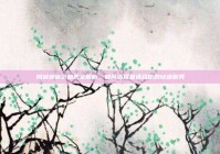 同城快递价格表全解析，如何选择最适合你的快递服务