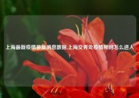 上海最新疫情最新消息数据,上海交界处疫情期间怎么进入?