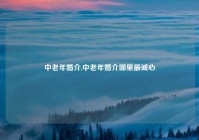 中老年婚介,中老年婚介哪里最诚心