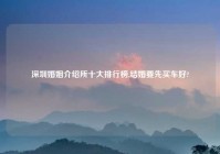 深圳婚姻介绍所十大排行榜,结婚要先买车好?