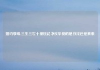 婚约孽缘,三生三世十里桃花中夜华爱的是白浅还是素素