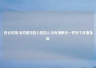 西安征婚,宝鸡植物园公园怎么没有像西安一样有个征婚角落?