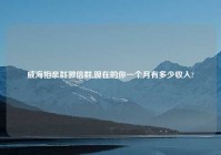 威海相亲群微信群,现在的你一个月有多少收入?