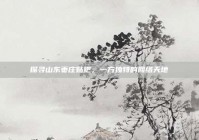 探寻山东枣庄贴吧，一方独特的网络天地