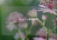 what for（for连词成句）