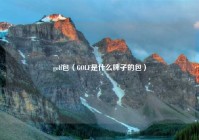 golf包（GOLF是什么牌子的包）