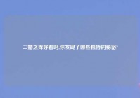 二婚之痒好看吗,你发现了哪些独特的秘密?