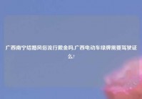 广西南宁结婚风俗流行戴金吗,广西电动车绿牌需要驾驶证么?