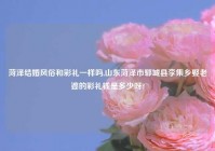 菏泽结婚风俗和彩礼一样吗,山东菏泽市郓城县李集乡娶老婆的彩礼钱是多少呀?