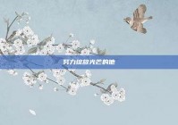 努力绽放光芒的他