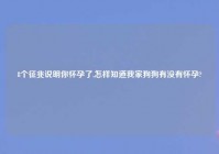 8个征兆说明你怀孕了,怎样知道我家狗狗有没有怀孕?