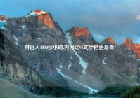 老乡人400元3小时,为何比95式步枪还昂贵?