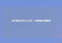 古代婚约叫什么,天生一对剧情详细解析