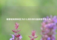 曝董璇离婚原因,为什么现在娱乐圈离婚率这么高