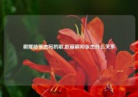 谢娜给张杰写的歌,赵丽颖和张杰什么关系