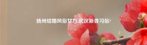 扬州结婚风俗女方,武汉新香习俗?