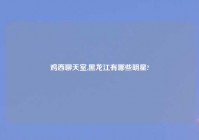 鸡西聊天室,黑龙江有哪些明星?