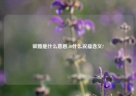 银婚是什么意思,40什么祝福含义?